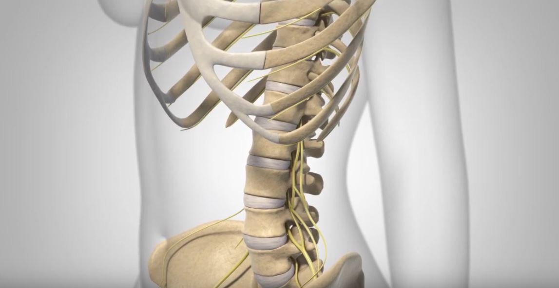 Espondilólisis y Espondilolistesis