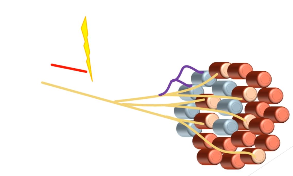 Nerve Injuries