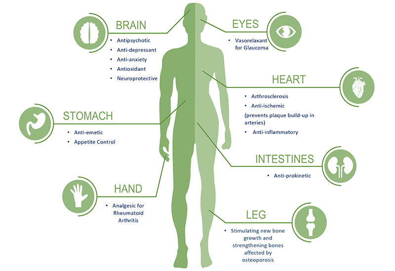 benefits of cannabidiol