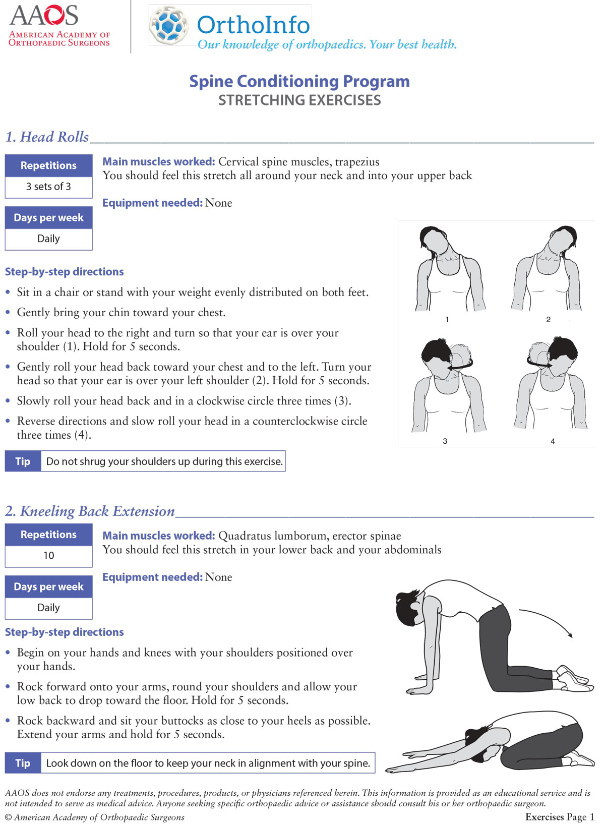 Spine Conditioning Program