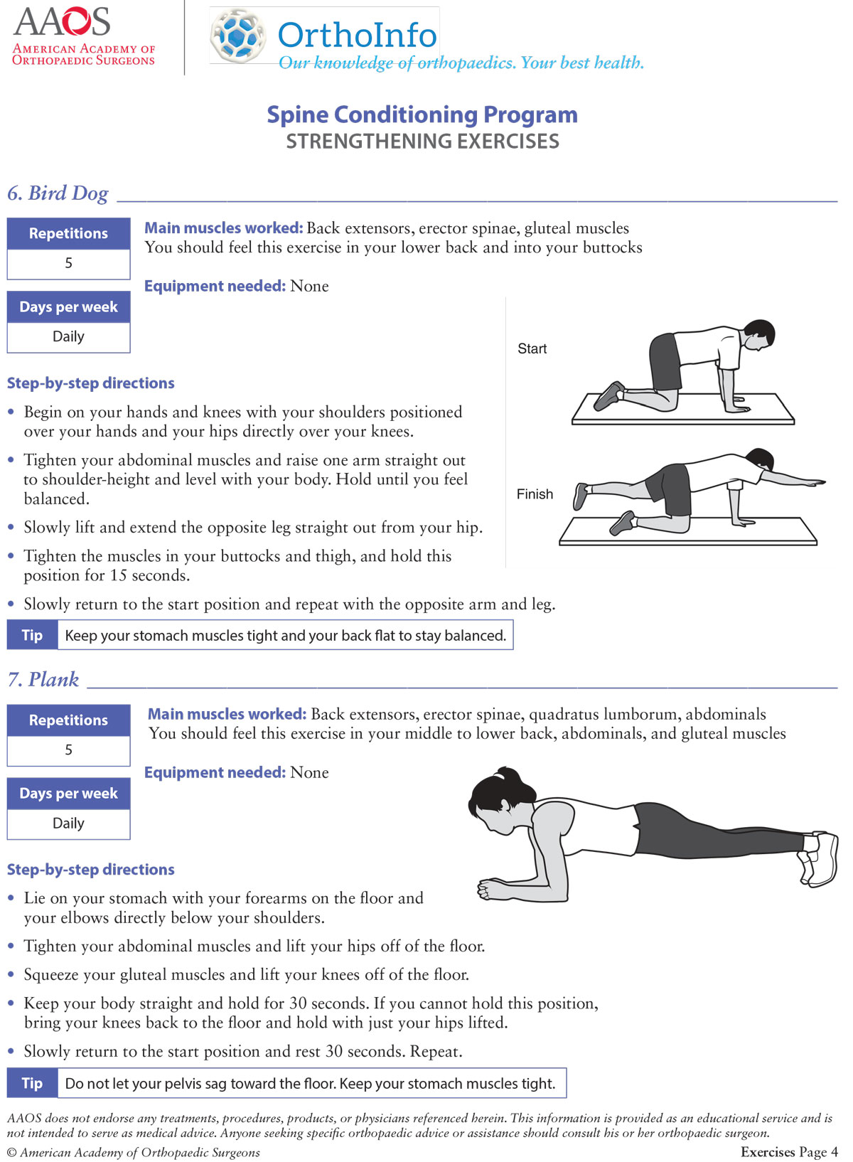 Spine Conditioning Program