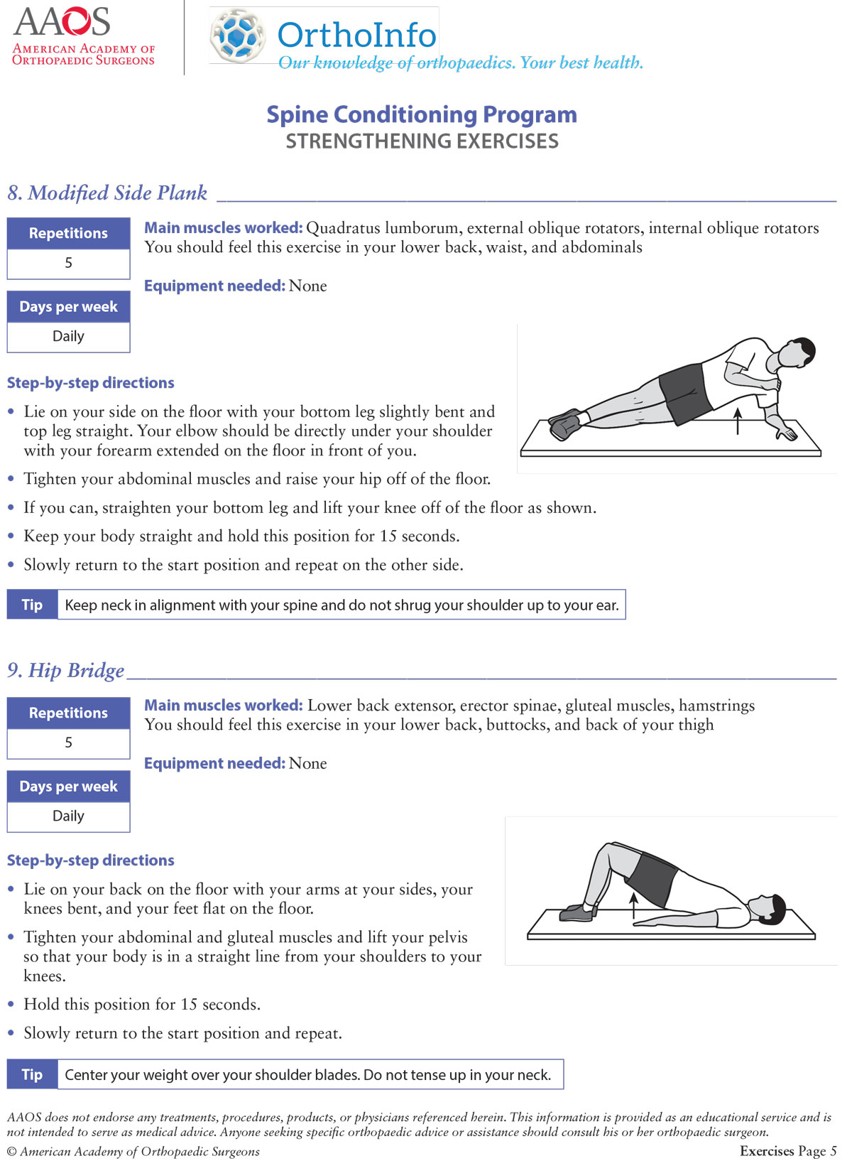 Spine Conditioning Program