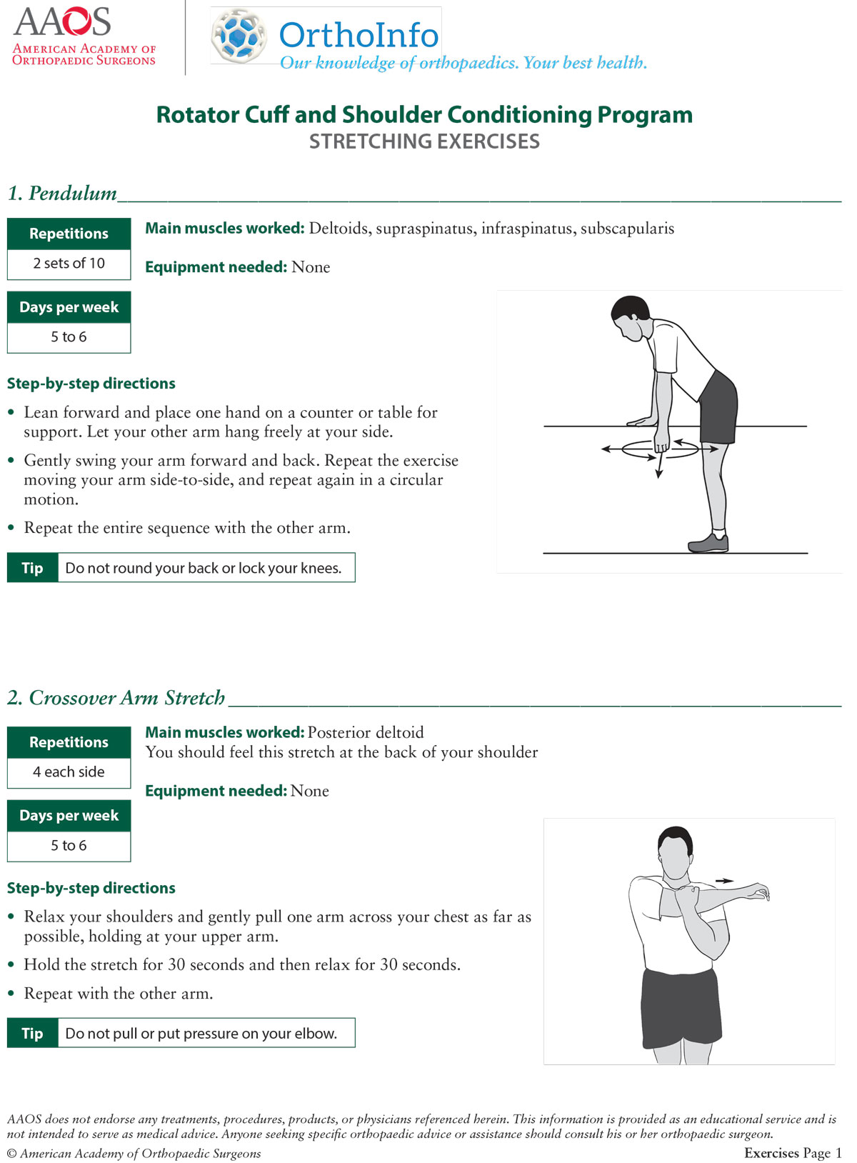 Rotator Cuff and Shoulder Conditioning Program