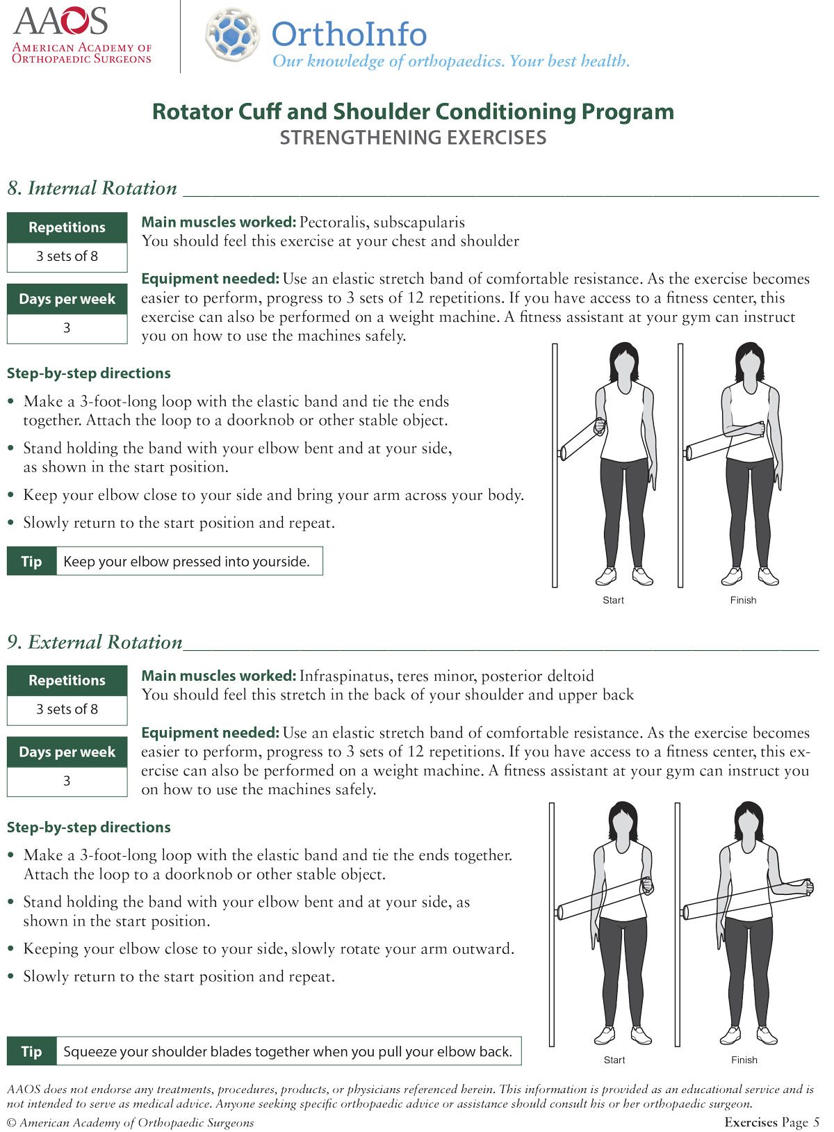 Rotator Cuff and Shoulder Conditioning Program