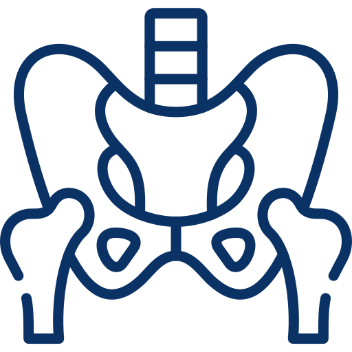Icon of the pelvis and hip bones representing hip conditions